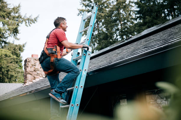 Best Roof Maintenance and Cleaning  in Euclid, OH